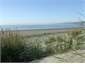Beach across the road