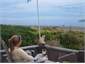 cat enjoys the veiw.