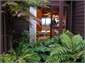 view from backyard to kitchen