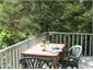 Bush from deck