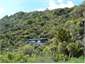 rata and mamaku suites