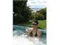 Spa Pool