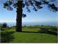 View from decking