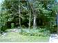 Cottage garden