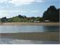 Dig for Pipi's at low tide