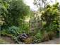 Cottage Garden