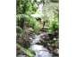 Stream tumbles on down passed the boatshed