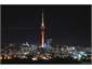 lights of Auckland city from your patio