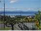 Lake view from front deck