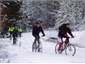 Mountain Biking Naseby