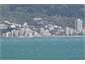 Oriental Bay