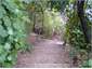 Path to beach