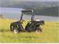 Buggy for track to the lake