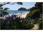 Hahei Beach (from Cathedral Cove walking track)