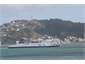 Harbour Ferries