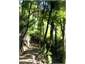 Bush walks