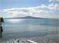 Narrow Neck Beach 