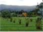 A mystique view on the mountains