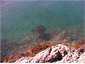 Watch the stingray as you fish.