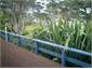 FRONT DECK