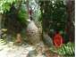 quiet  path leading to garden swing and beach