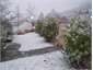 SOMETIMES IT SNOWS ON THE HOUSE