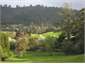 View from the back paddock