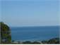the view