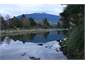Tongariro River