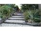 Steps in the garden