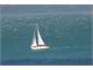 Sails on the harbour