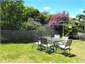 backyard area