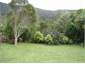 Back Garden