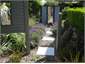 Suebri gardens