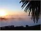 Dawn ocean