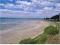 near where the paua live