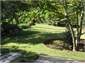 Back lawn