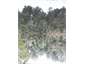 Mirror Tarn