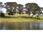 A few steps down the lawn to the river