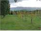 Enjoy the view from the garden bench