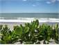 Pukehina Beach