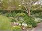 Spring Garden PA070053 RC