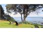 Front lawn view
