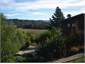 Back garden
