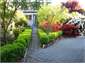 Collinson's cottage  garden