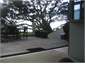 View to beach  from deck through pohutukawa