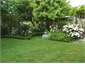 summer garden