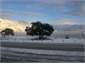 Lake on a snow day