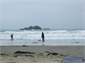 Beach - 60 second walk from house