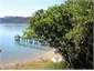 The Jetty